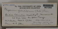 Image Associated With the Occurence
